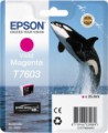     (Magenta) Epson T7603